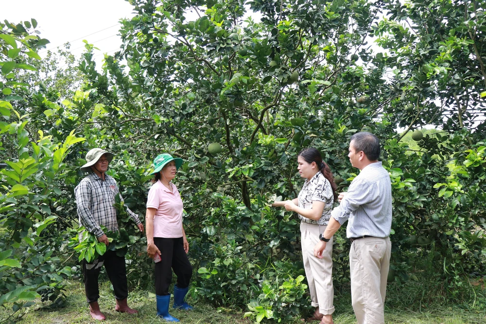 Tinh gọn bộ máy: Giải quyết tình trạng nơi thừa, nơi thiếu nhân lực - Ảnh 2.