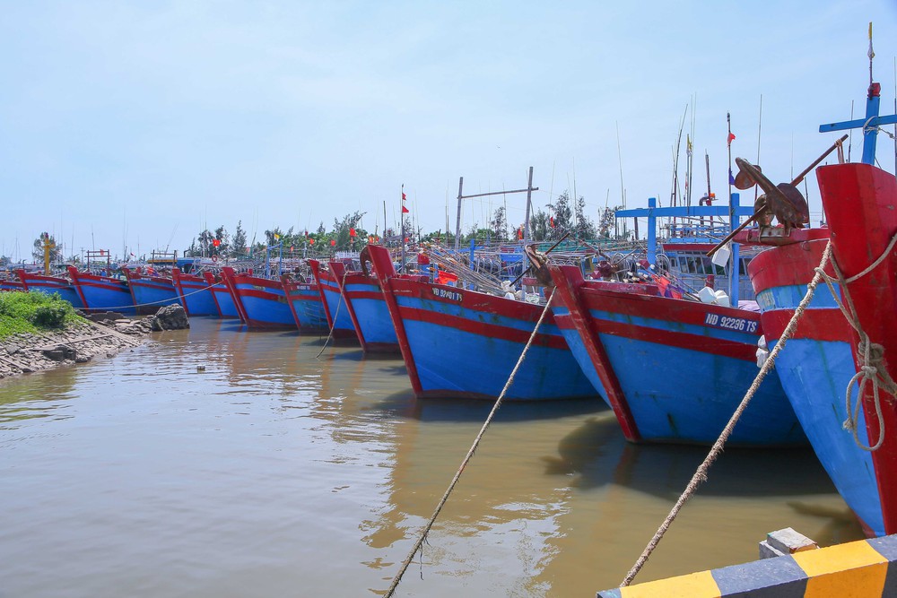 Bão số 11: Ninh Bình tổ chức neo đậu tàu thuyền xong trước 17 giờ ngày 5/10 - Ảnh 1.