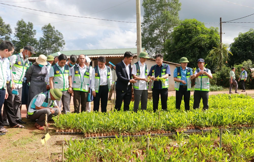Tinh gọn bộ máy: Giải quyết tình trạng nơi thừa, nơi thiếu nhân lực - Ảnh 3.