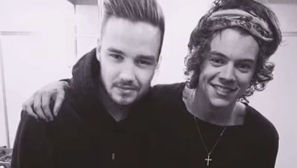One Direction tái hợp sau một thập kỷ, thực hiện dự án trị giá nhiều triệu bảng Anh với Netflix - Ảnh 4.
