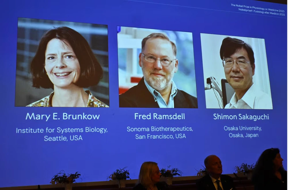 Nobel Y sinh 2025: Ba nhà khoa học Mỹ-Nhật đoạt giải miễn dịch ngoại biên - Ảnh 1.