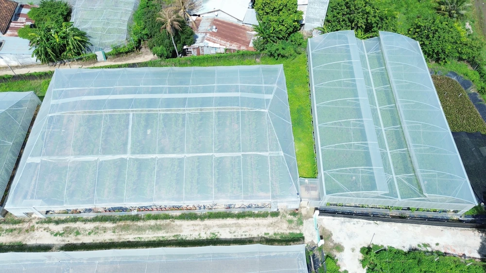 Điều chỉnh Quy hoạch tổng thể quốc gia thời kỳ 2021 - 2030, tầm nhìn đến năm 2050 - Ảnh 2.