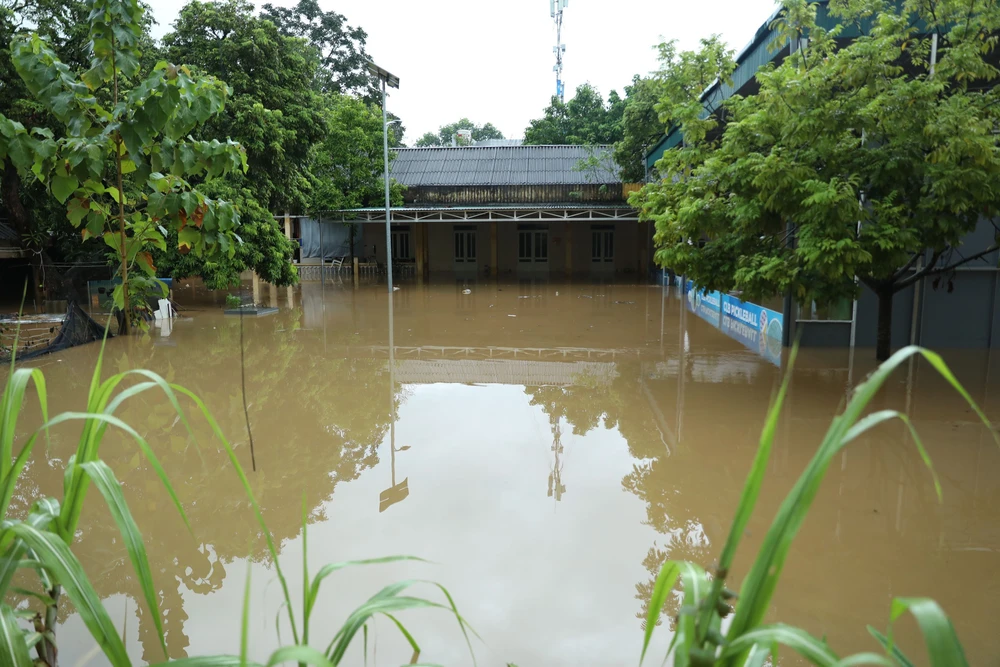 Tuyên Quang: Mưa lớn gây ngập úng cục bộ một số nơi - Ảnh 1.