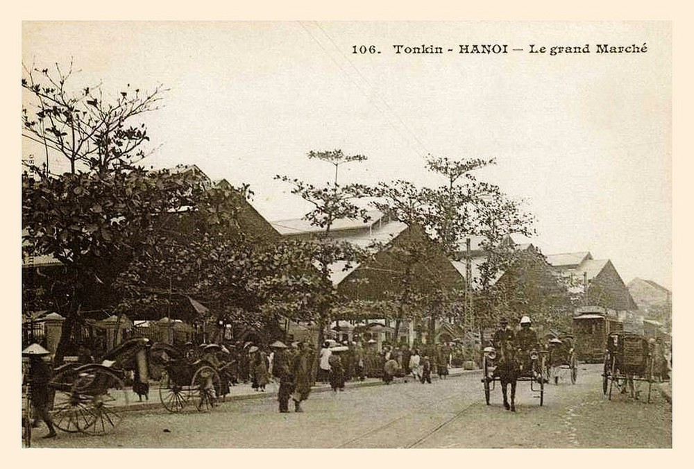 dong-xuan-1-1759967926518254746251.jpg
