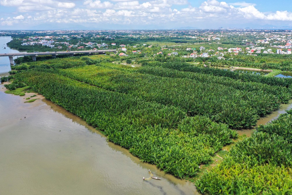 Làng Cẩm Thanh nằm trong tốp 50 làng đẹp nhất thế giới - Ảnh 2.