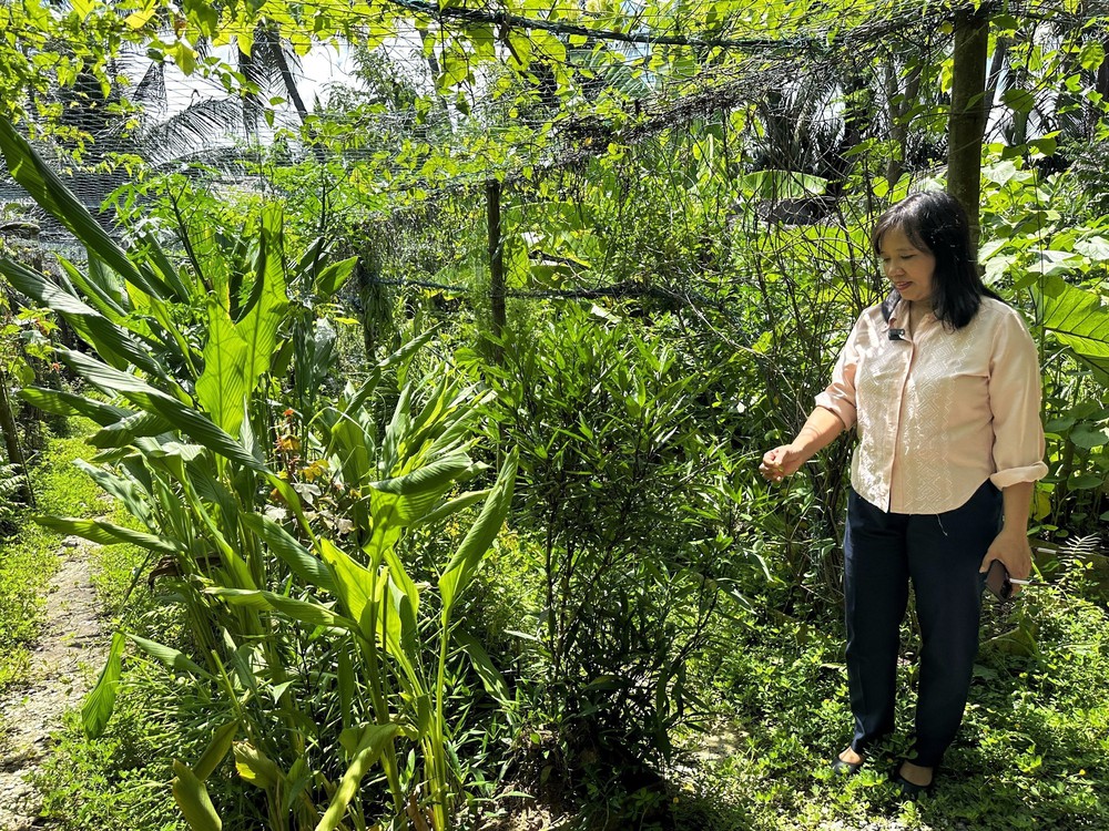 Làng Cẩm Thanh nằm trong tốp 50 làng đẹp nhất thế giới - Ảnh 7.