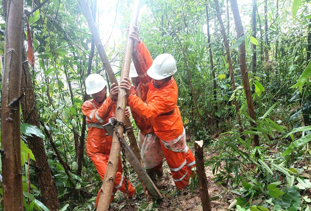 Đà Nẵng: Tổng lực vào cuộc khôi phục cấp điện nhanh và an toàn nhất cho người dân vùng lũ - Ảnh 2.
