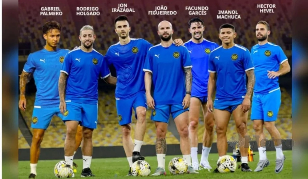 Cầu thủ nhập tịch Malaysia kiện FAM, yêu cầu Liên đoàn bồi thường - Ảnh 1.