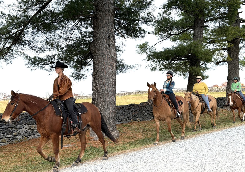 Chiều cuối Thu ở rừng bạch quả cổ thụ Ginkgo Grove, bang Virginia - Ảnh 1.
