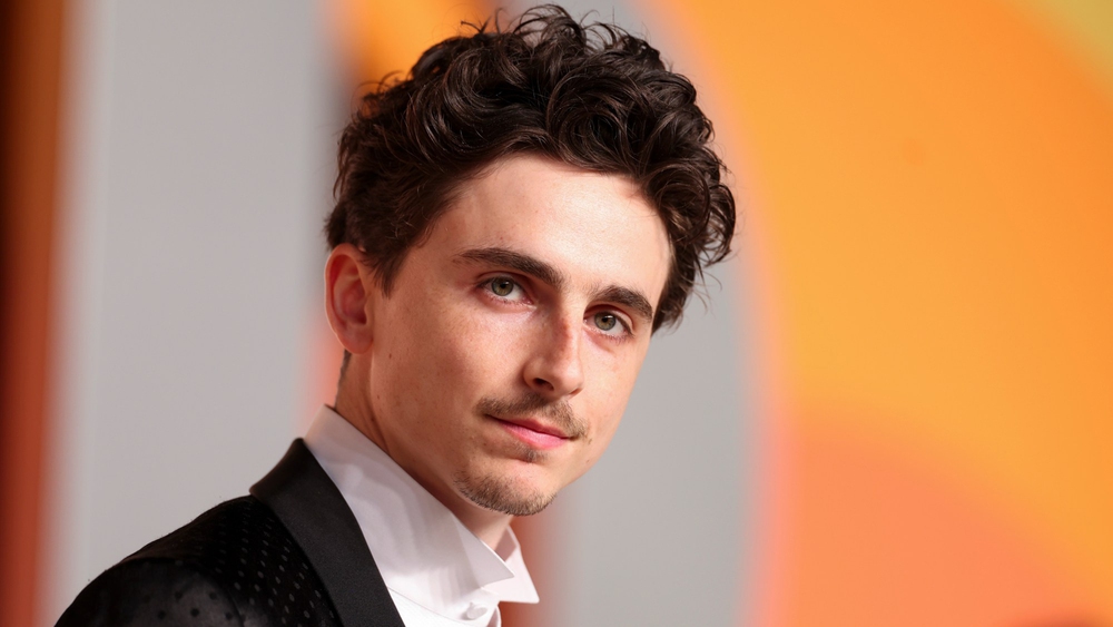 Timothee Chalamet có thể giành được Grammy trước Oscar? - Ảnh 3.