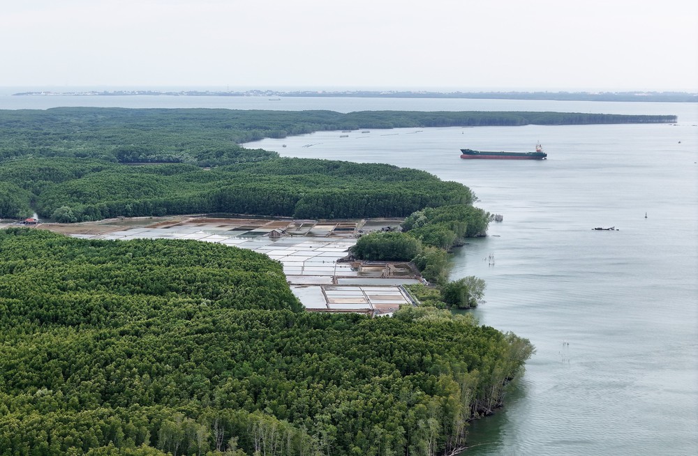 Thành phố Hồ Chí Minh thúc đẩy quản lý bền vững rừng Cần Giờ - Ảnh 1.