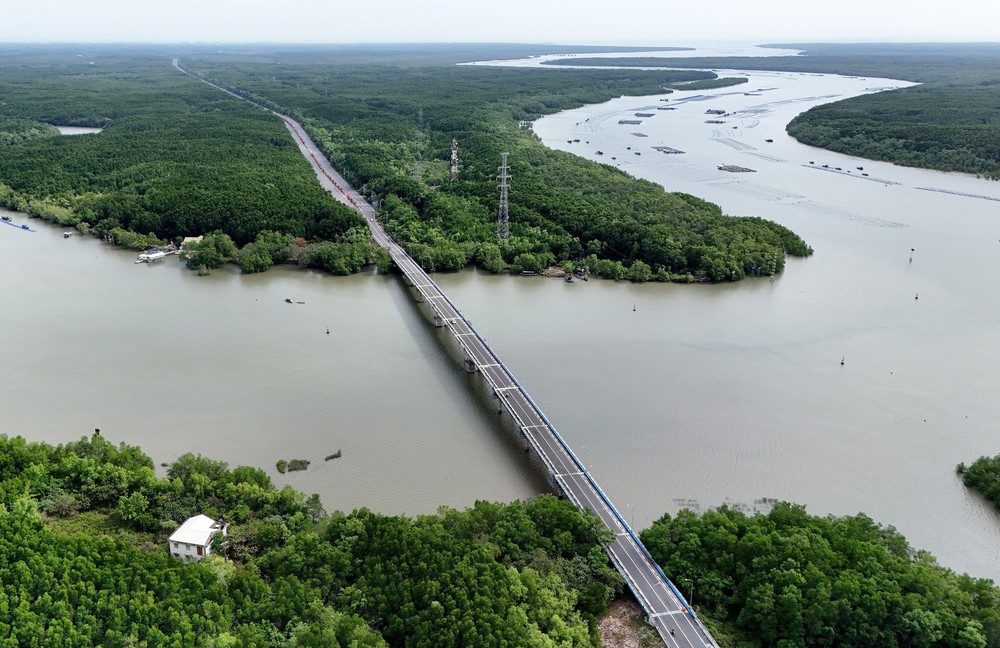 Thành phố Hồ Chí Minh thúc đẩy quản lý bền vững rừng Cần Giờ - Ảnh 4.
