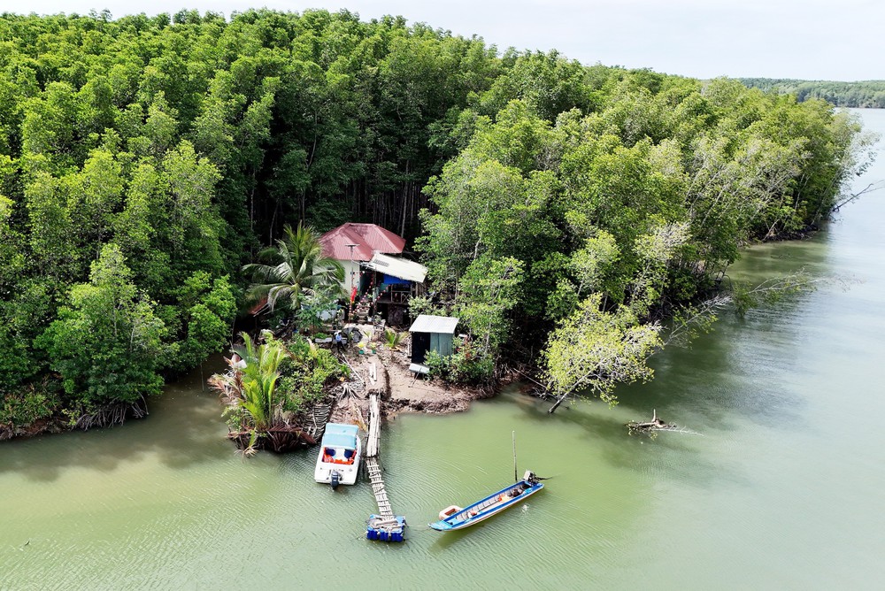 Thành phố Hồ Chí Minh thúc đẩy quản lý bền vững rừng Cần Giờ - Ảnh 3.