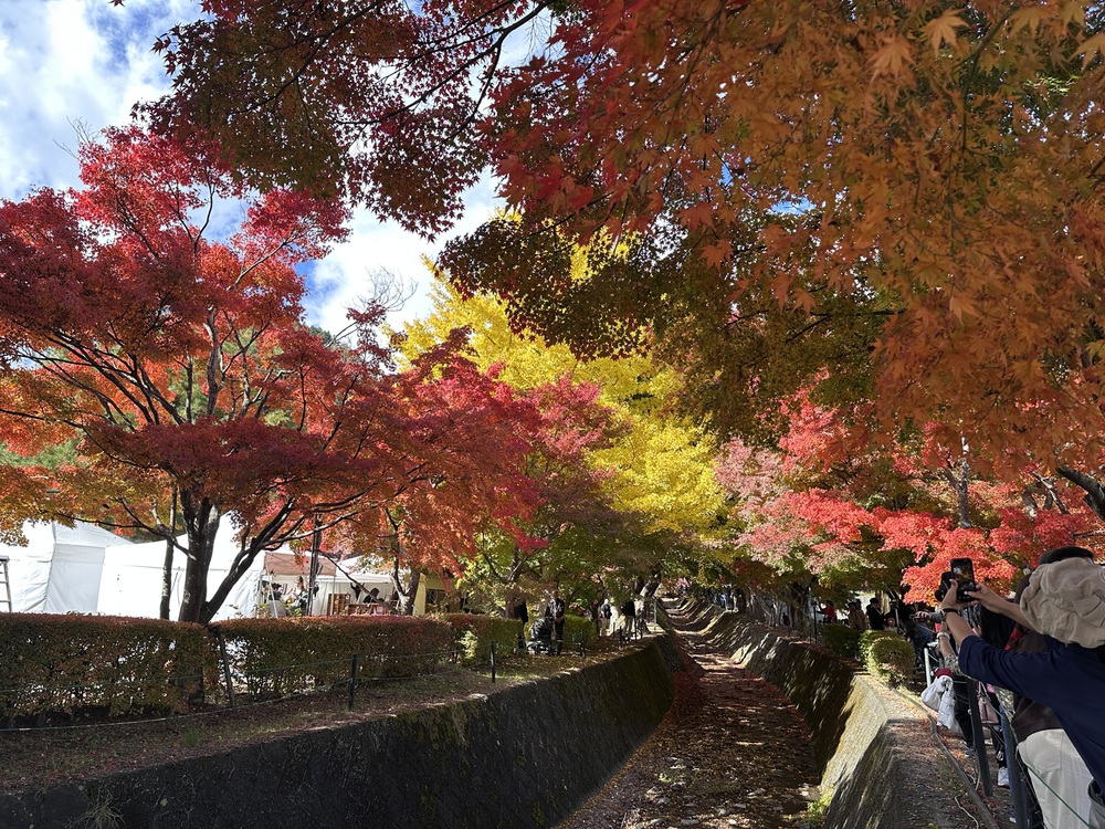 Hành trình mùa thu Phú Sĩ: Bản giao hưởng sắc màu từ Kawaguchi đến Motosu - Ảnh 2. Hành trình mùa thu Phú Sĩ: Bản giao hưởng sắc màu từ Kawaguchi đến Motosu - Ảnh 2.