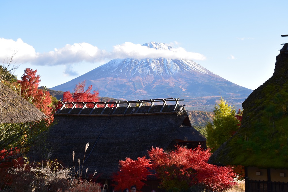 Hành trình mùa thu Phú Sĩ: Bản giao hưởng sắc màu từ Kawaguchi đến Motosu - Ảnh 4. Hành trình mùa thu Phú Sĩ: Bản giao hưởng sắc màu từ Kawaguchi đến Motosu - Ảnh 4.