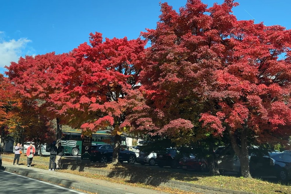 Hành trình mùa thu Phú Sĩ: Bản giao hưởng sắc màu từ Kawaguchi đến Motosu - Ảnh 7. Hành trình mùa thu Phú Sĩ: Bản giao hưởng sắc màu từ Kawaguchi đến Motosu - Ảnh 7.