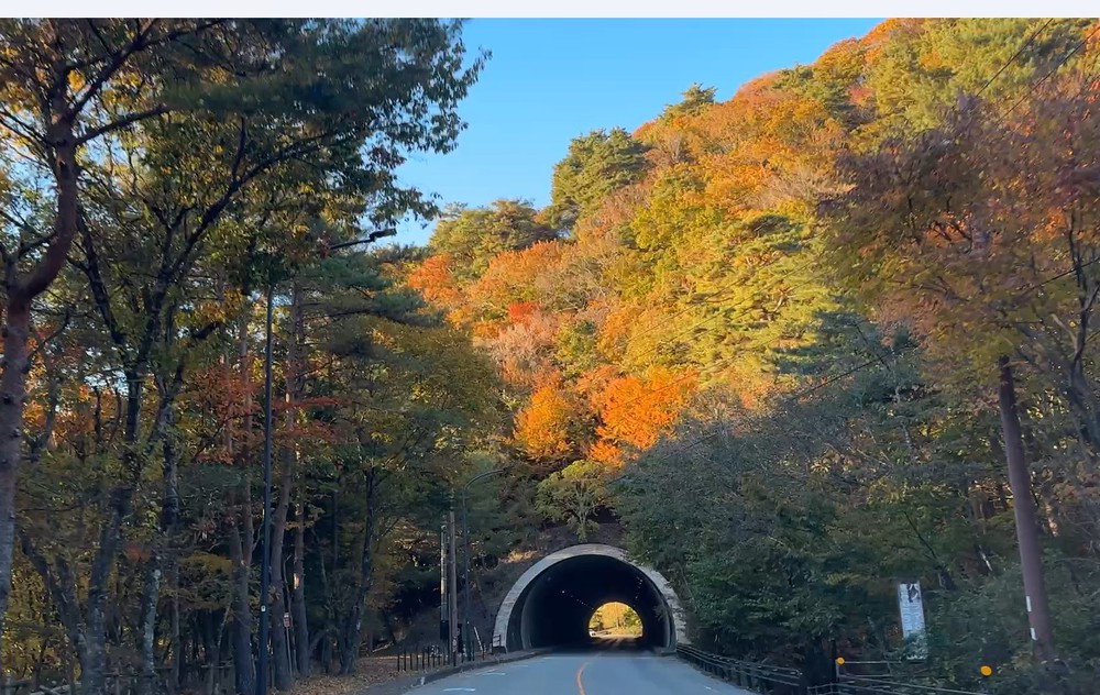 Hành trình mùa thu Phú Sĩ: Bản giao hưởng sắc màu từ Kawaguchi đến Motosu - Ảnh 8. Hành trình mùa thu Phú Sĩ: Bản giao hưởng sắc màu từ Kawaguchi đến Motosu - Ảnh 8.