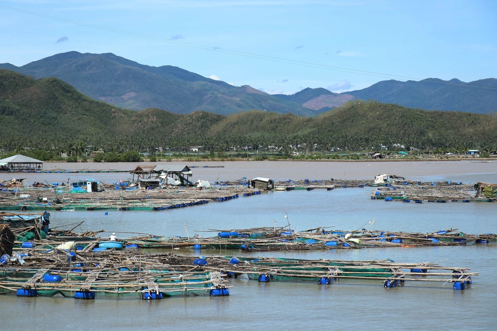 Thủ tướng đề nghị khẩn trương đánh giá thiệt hại và khắc phục hậu quả bão, lũ tại khu vực Trung Bộ - Ảnh 2. Thủ tướng đề nghị khẩn trương đánh giá thiệt hại và khắc phục hậu quả bão, lũ tại khu vực Trung Bộ - Ảnh 2.