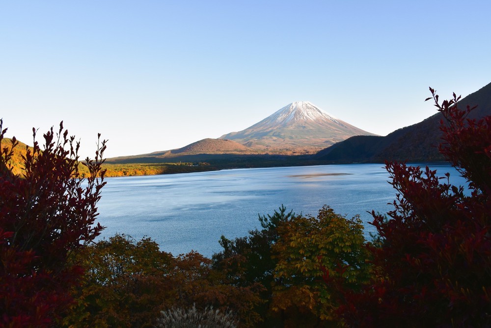 Mùa thu Phú Sĩ - Lá đỏ về sớm trong hơi lạnh đầu đông - Ảnh 3. Mùa thu Phú Sĩ - Lá đỏ về sớm trong hơi lạnh đầu đông - Ảnh 3.