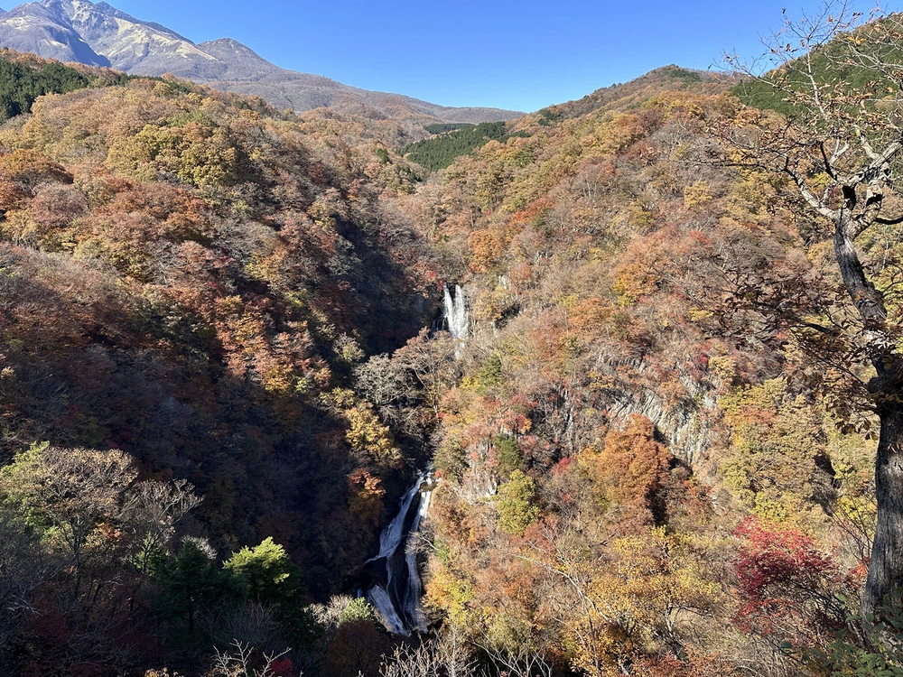 Nikko – Mùa thu rực rỡ giữa núi rừng - Ảnh 4. Nikko – Mùa thu rực rỡ giữa núi rừng - Ảnh 4.