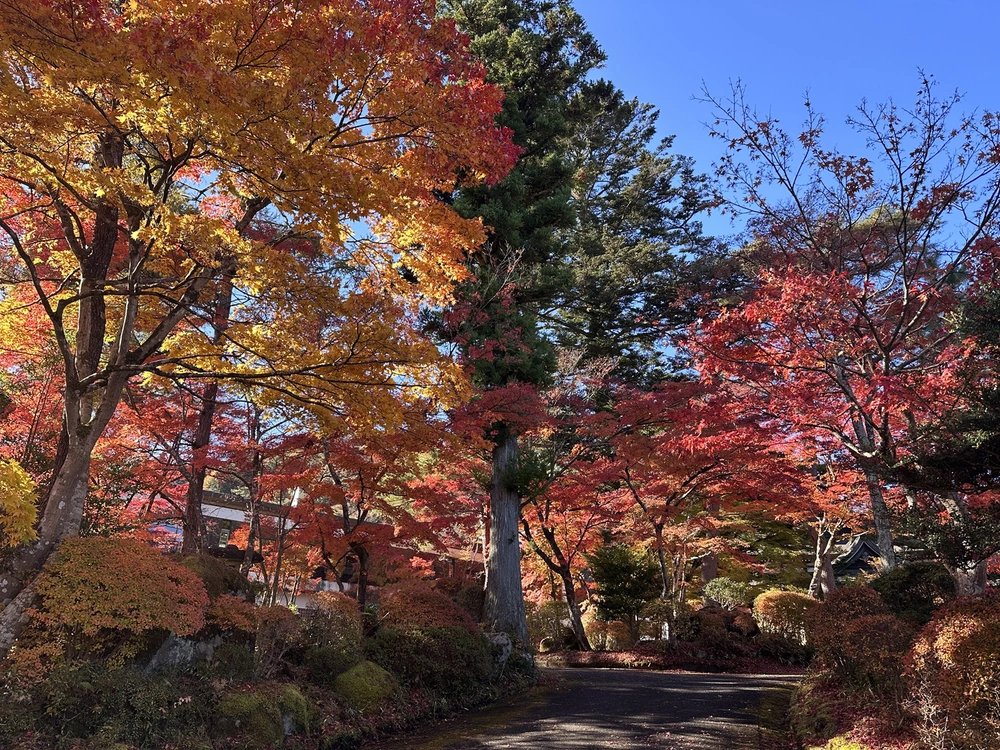 Nikko – Mùa thu rực rỡ giữa núi rừng - Ảnh 11. Nikko – Mùa thu rực rỡ giữa núi rừng - Ảnh 11.