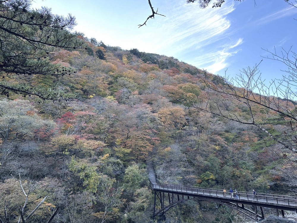 Nikko – Mùa thu rực rỡ giữa núi rừng - Ảnh 3. Nikko – Mùa thu rực rỡ giữa núi rừng - Ảnh 3.