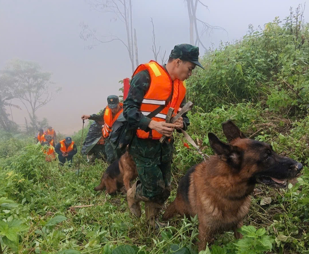 Vụ sạt lở đất ở Hùng Sơn: Sử dụng chó nghiệp vụ tìm kiếm nạn nhân mất tích - Ảnh 1. Vụ sạt lở đất ở Hùng Sơn: Sử dụng chó nghiệp vụ tìm kiếm nạn nhân mất tích - Ảnh 1.