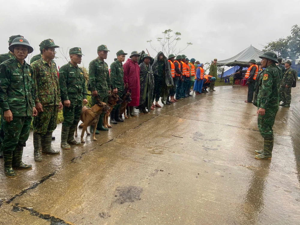 Vụ sạt lở đất ở Hùng Sơn (Đà Nẵng): Sử dụng chó nghiệp vụ tìm kiếm nạn nhân mất tích - Ảnh 4. Vụ sạt lở đất ở Hùng Sơn (Đà Nẵng): Sử dụng chó nghiệp vụ tìm kiếm nạn nhân mất tích - Ảnh 4.