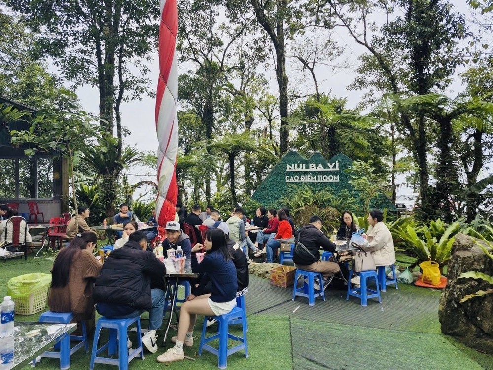 Vườn quốc gia Ba Vì thu hút đông du khách ngắm hoa dã quỳ nở rộ - Ảnh 4. Vườn quốc gia Ba Vì thu hút đông du khách ngắm hoa dã quỳ nở rộ - Ảnh 4.