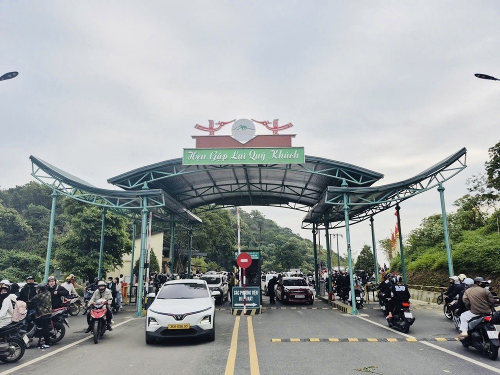 Vườn quốc gia Ba Vì thu hút đông du khách ngắm hoa dã quỳ nở rộ - Ảnh 1. Vườn quốc gia Ba Vì thu hút đông du khách ngắm hoa dã quỳ nở rộ - Ảnh 1.