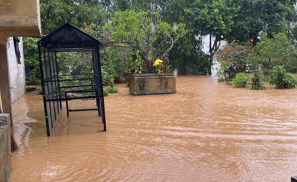 Lũ trên sông Thạch Hãn dâng cao, vùng thấp trũng bị ngập lụt - Ảnh 7. Lũ trên sông Thạch Hãn dâng cao, vùng thấp trũng bị ngập lụt - Ảnh 7.