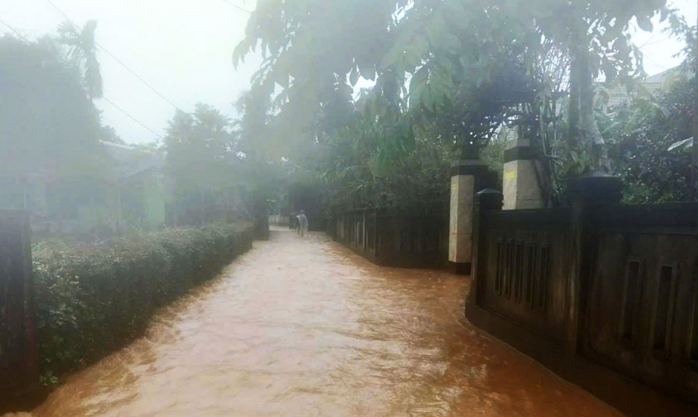 Lũ trên sông Thạch Hãn dâng cao, vùng thấp trũng bị ngập lụt - Ảnh 5. Lũ trên sông Thạch Hãn dâng cao, vùng thấp trũng bị ngập lụt - Ảnh 5.