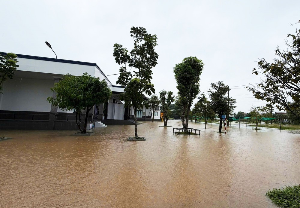 Lũ trên sông Thạch Hãn dâng cao, vùng thấp trũng bị ngập lụt - Ảnh 9. Lũ trên sông Thạch Hãn dâng cao, vùng thấp trũng bị ngập lụt - Ảnh 9.