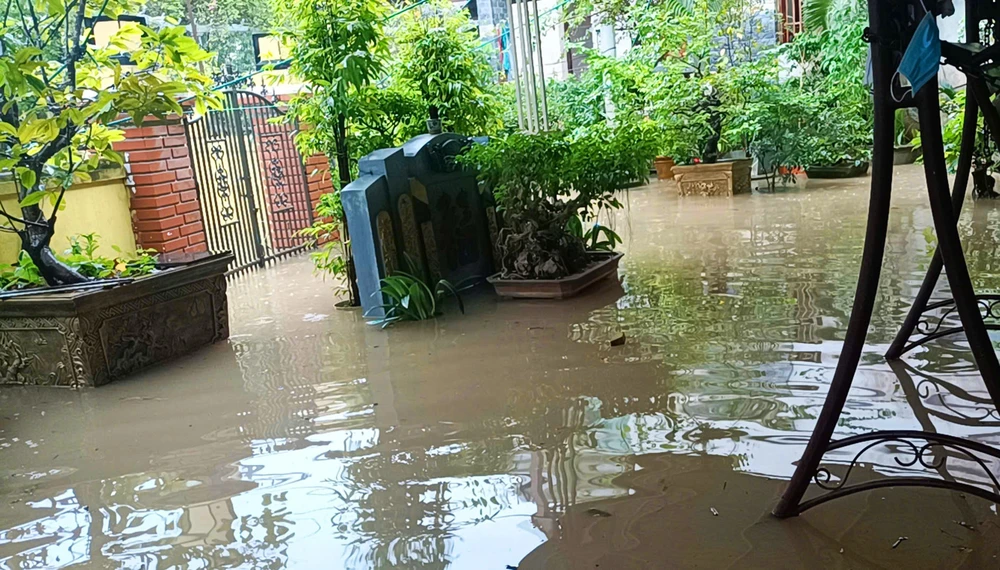 Lũ trên sông Thạch Hãn dâng cao, vùng thấp trũng bị ngập lụt - Ảnh 10. Lũ trên sông Thạch Hãn dâng cao, vùng thấp trũng bị ngập lụt - Ảnh 10.