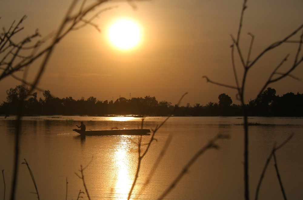 Trù phú mùa cá đồng ở Cần Thơ sau nhiều năm "đói" lũ - Ảnh 8. Trù phú mùa cá đồng ở Cần Thơ sau nhiều năm "đói" lũ - Ảnh 8.