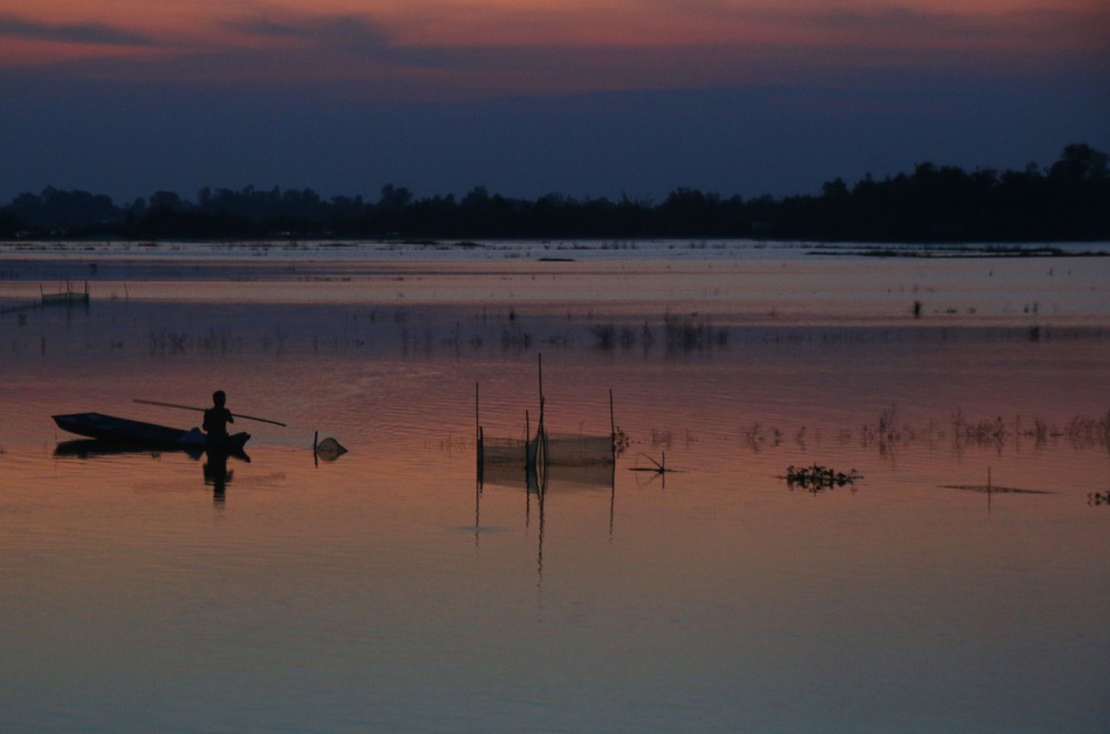 Trù phú mùa cá đồng ở Cần Thơ sau nhiều năm "đói" lũ - Ảnh 12. Trù phú mùa cá đồng ở Cần Thơ sau nhiều năm "đói" lũ - Ảnh 12.