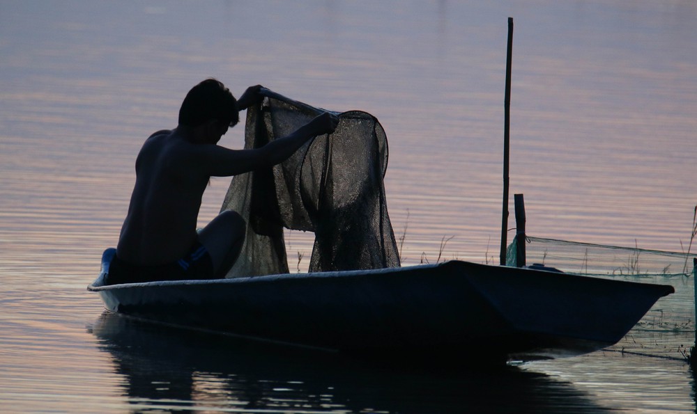 Trù phú mùa cá đồng ở Cần Thơ sau nhiều năm "đói" lũ - Ảnh 14. Trù phú mùa cá đồng ở Cần Thơ sau nhiều năm "đói" lũ - Ảnh 14.