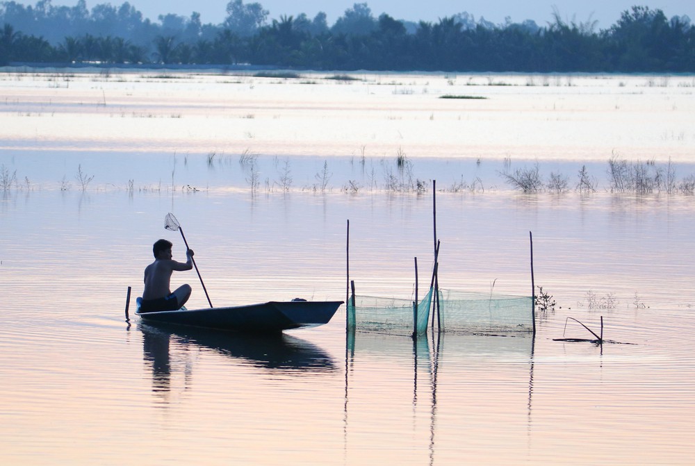 Trù phú mùa cá đồng ở Cần Thơ sau nhiều năm "đói" lũ - Ảnh 13. Trù phú mùa cá đồng ở Cần Thơ sau nhiều năm "đói" lũ - Ảnh 13.