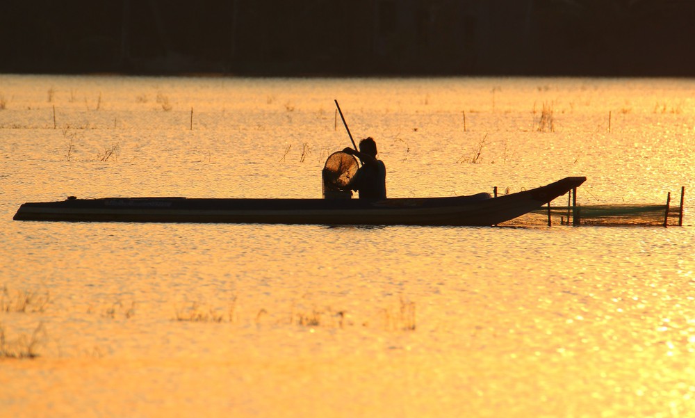 Trù phú mùa cá đồng ở Cần Thơ sau nhiều năm "đói" lũ - Ảnh 7. Trù phú mùa cá đồng ở Cần Thơ sau nhiều năm "đói" lũ - Ảnh 7.
