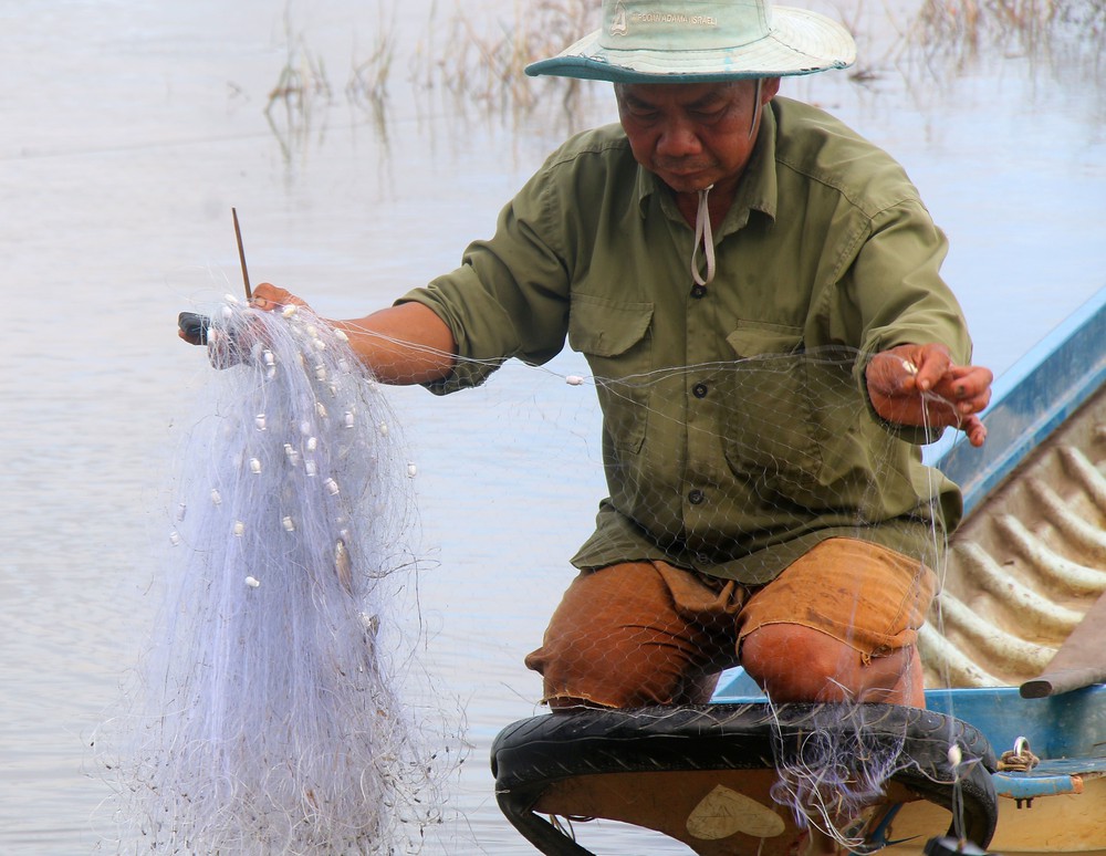Trù phú mùa cá đồng ở Cần Thơ sau nhiều năm "đói" lũ - Ảnh 6. Trù phú mùa cá đồng ở Cần Thơ sau nhiều năm "đói" lũ - Ảnh 6.