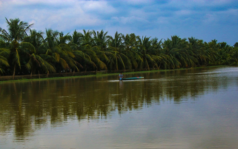Trù phú mùa cá đồng ở Cần Thơ sau nhiều năm "đói" lũ - Ảnh 2. Trù phú mùa cá đồng ở Cần Thơ sau nhiều năm "đói" lũ - Ảnh 2.