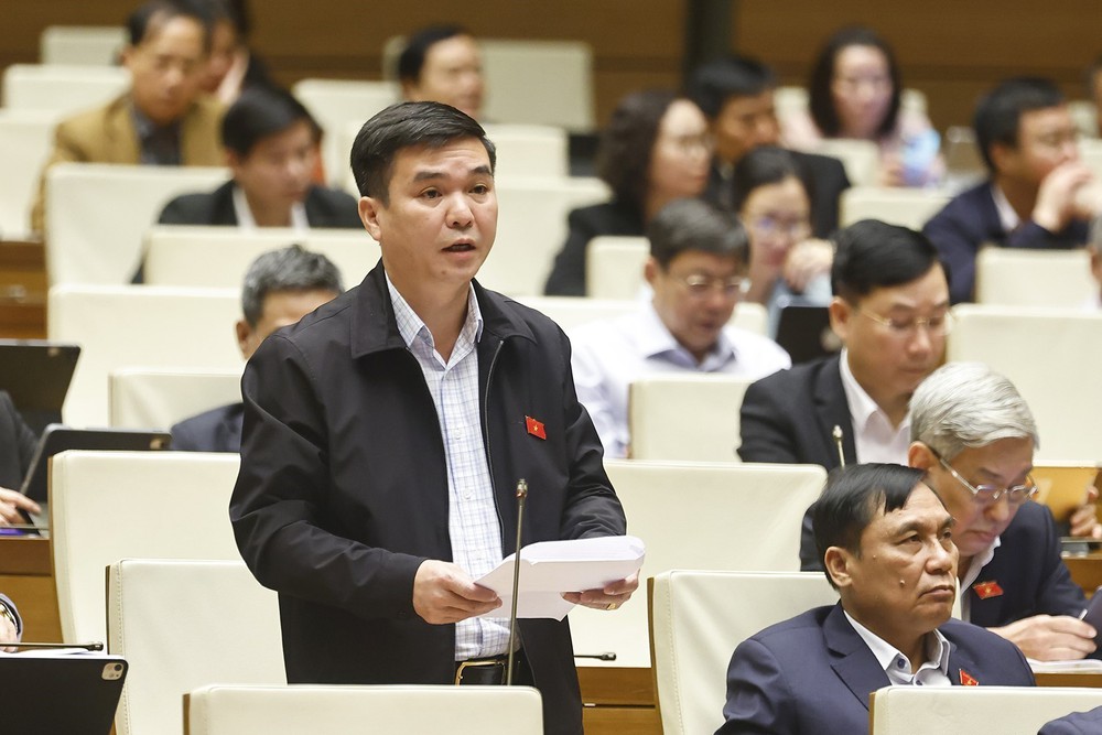 Kỳ họp thứ 10, Quốc hội khóa XV: Khắc phục tình trạng ép mua bảo hiểm thông qua kênh ngân hàng - Ảnh 4.