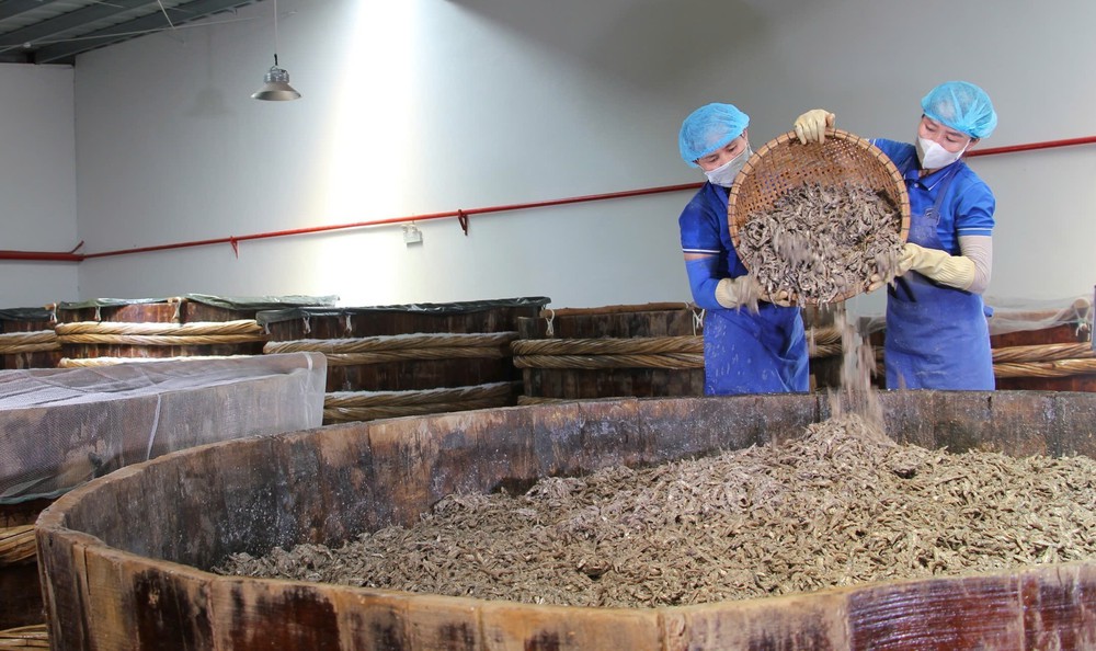 Thanh Hóa kiểm soát chặt chẽ đội tàu cá, nỗ lực khắc phục "thẻ vàng" IUU" - Ảnh 5. Thanh Hóa kiểm soát chặt chẽ đội tàu cá, nỗ lực khắc phục "thẻ vàng" IUU" - Ảnh 5.