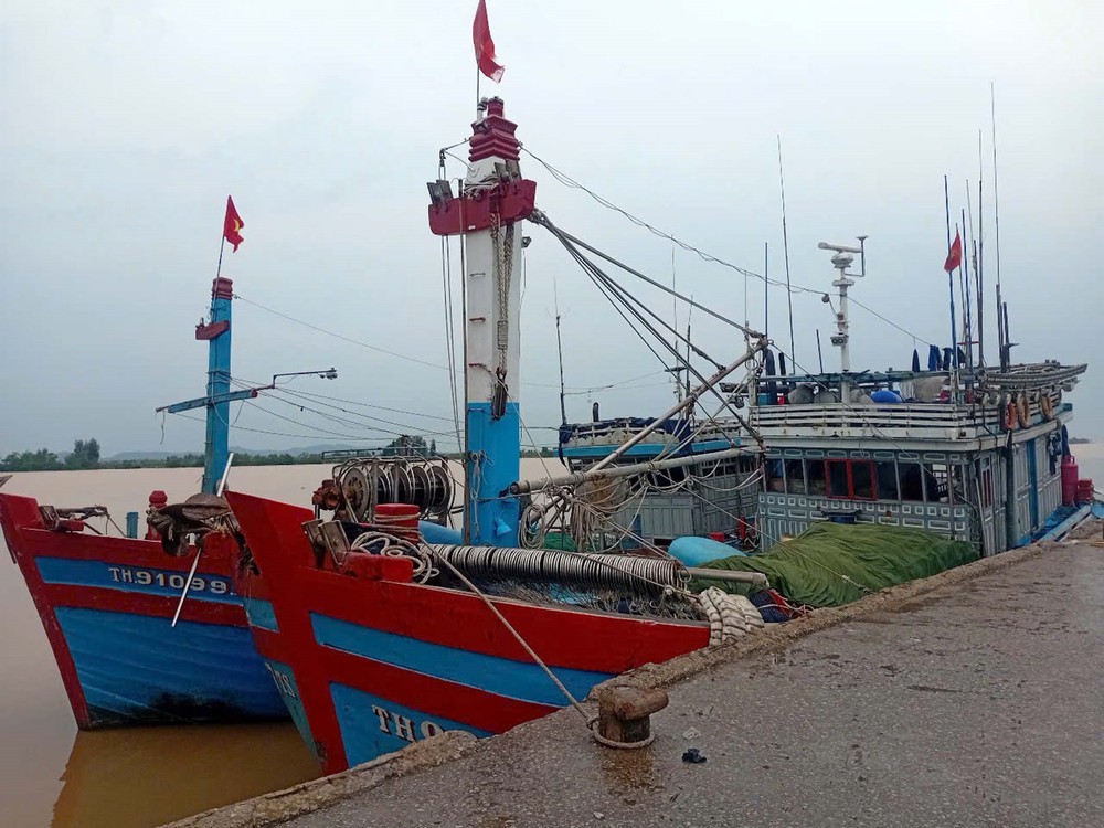 Thanh Hóa kiểm soát chặt chẽ đội tàu cá, nỗ lực khắc phục "thẻ vàng" IUU" - Ảnh 1. Thanh Hóa kiểm soát chặt chẽ đội tàu cá, nỗ lực khắc phục "thẻ vàng" IUU" - Ảnh 1.