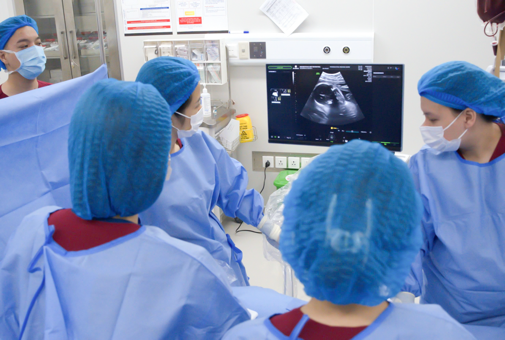 Bộ Y tế giao Trung tâm Y học bào thai PhenikaaMec thực hiện 11 kỹ thuật can thiệp bào thai phức tạp - Ảnh 4. Bộ Y tế giao Trung tâm Y học bào thai PhenikaaMec thực hiện 11 kỹ thuật can thiệp bào thai phức tạp - Ảnh 4.