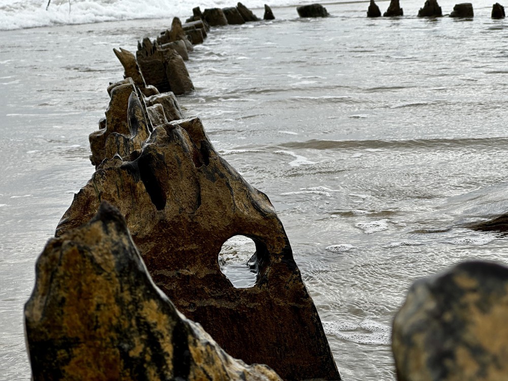 Những phát hiện thú vị của khảo cổ học năm 2025 (kỳ 2): Tàu cổ Hội An - hành trình từ đồi cát tới lòng biển? - Ảnh 3.