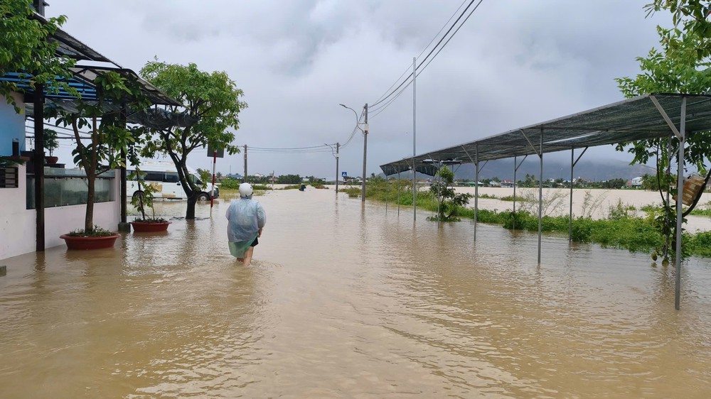 Khánh Hòa hỗ trợ di dời, ứng cứu người dân ở các khu vực có nguy cơ sạt lở, ngập lụt - Ảnh 5.