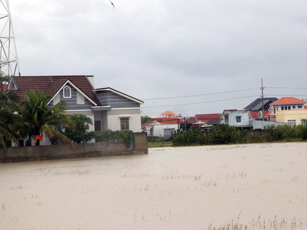 Khánh Hòa linh hoạt ứng phó với mưa lũ lớn, ngập lụt sâu tiếp diễn - Ảnh 1.