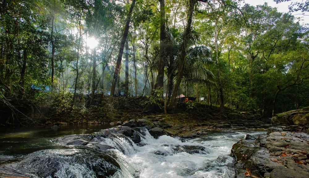 Kết hợp du lịch để phát triển bền vững những &quot;kho báu xanh&quot; - Ảnh 2.