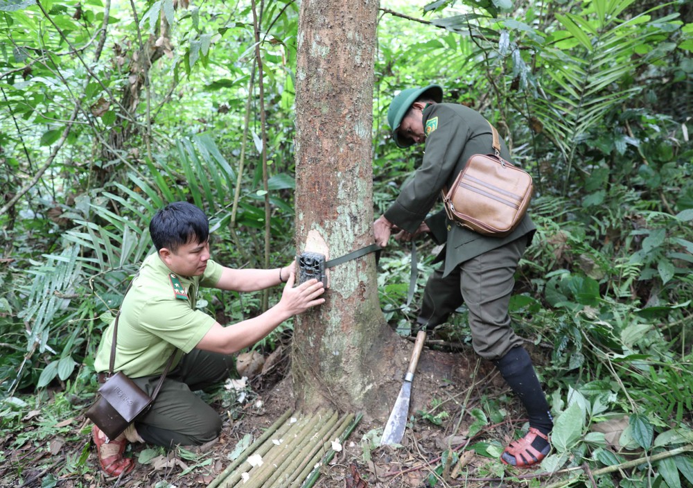 Trải nghiệm &quot;thế giới thu nhỏ&quot; của Khu dự trữ sinh quyển Pù Huống - Ảnh 4.